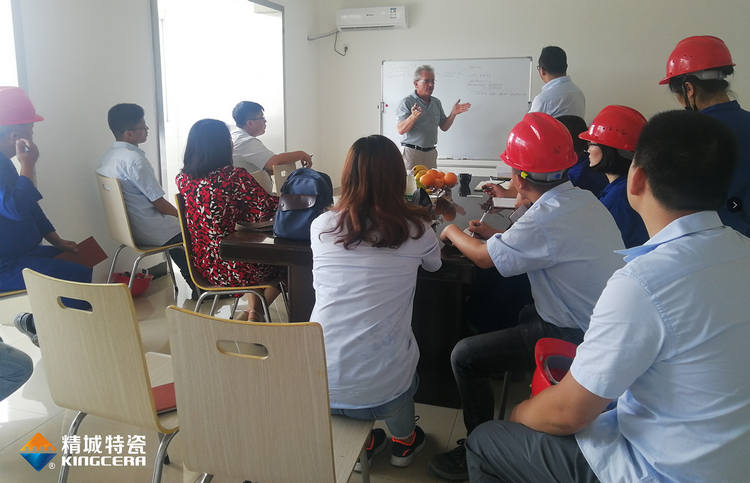 湖南KU酷游官网特邀意大利专家举行质量治理培训